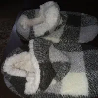 پاپوش ، نو ، امریکایی  ،لطیف  وزیبا