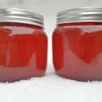 فقط همین ۲ کیلو وحشی کوهستان قندیل مونده