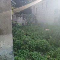 ۳۱۶زمین دردانشگاه لاهیجان|فروش زمین و ملک کلنگی|لاهیجان, کوی استادان|دیوار