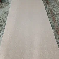 موکت پالاز نو