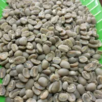خریداران دانه سبز قهوه