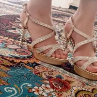 کیف و کفش مجلسی
