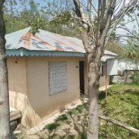 زمین ییلاقی|فروش خانه و ویلا|تالش, تالش|دیوار