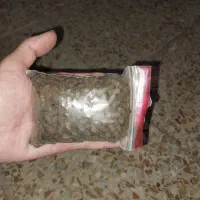 کود گرانوله و کود های ارگانیک و خاک گلدان|گل و گیاه طبیعی|اهواز, کوی نفت|دیوار