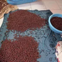 عناب|خوردنی و آشامیدنی|مشهد, علی آباد|دیوار