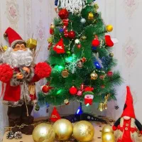 درخت کریسمس وارداتی