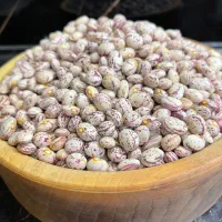 لوبیا چیتی|خوردنی و آشامیدنی|بهار, |دیوار