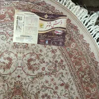 فرش|فرش|سرپل ذهاب, |دیوار