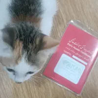واگذاری گربه