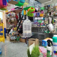 کلیه ملزومات انواع پرندگان و طوطی سانان