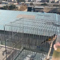 سهره|پرنده|کهریزک, |دیوار