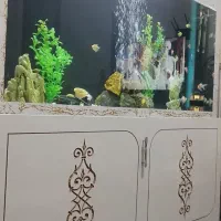 اکواریوم بزرگ