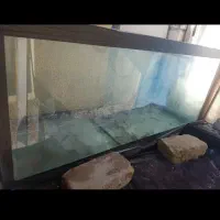 آکواریوم ماهی ۸میل