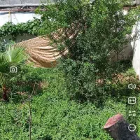 خونه باغ سنتی حیاط دار سندتکبرگ ۲۰ قدم بر خط