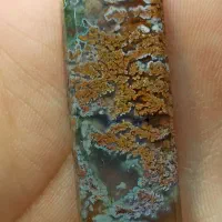 نگین های شجر عالی|جواهرات|سرایان, |دیوار