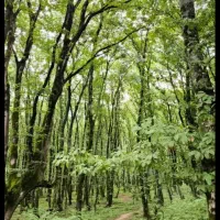 راهنمایی در مورد خونه روستایی