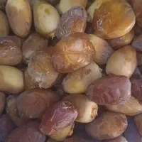 خرما رطب عسلی خشت