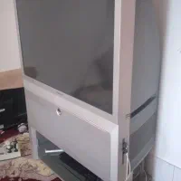 کارتون تلوزیون گم شده