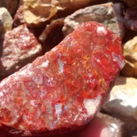 عقیق شجر جاسپر|جواهرات|اردبیل, |دیوار