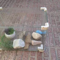 آکواریوم شیشه ای