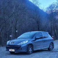 207 فرانسه مدل 89