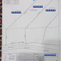 زمین باغی ویو ابدی|فروش زمین و ملک کلنگی|رشت, استقامت ۲|دیوار
