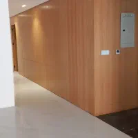 نقاشی و رنگکاری ساختمان|خدمات پیشه و مهارت|شیراز, تندگویان|دیوار