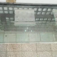 آکواریوم ۱۰ میل ۲۵×۸۰×۱۵۰|ماهی|قم, نیروگاه|دیوار
