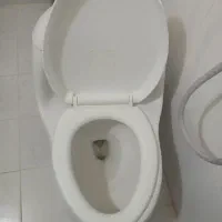 توالت فرنگی