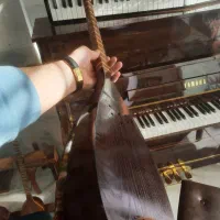 سنتور سه تار تنبور تار|سازهای سنتی|مینودشت, |دیوار