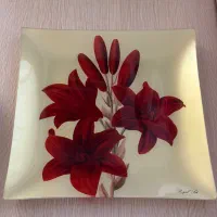 میوه خوری وهندونه خوری باپیش دستی