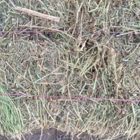 بسته بندی یونجه