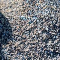 کربن درجه یک صادراتی