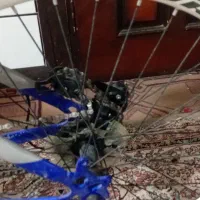 دوچرخه|دوچرخه، اسکیت، اسکوتر|شهرکرد, |دیوار