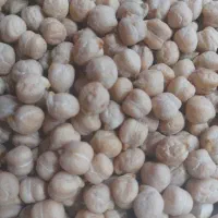 نخود ولوبیاوعدس محلی عدس قرمز