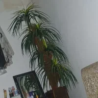 درخت گل نخل مصنوعی