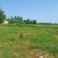 ۳۰۰ متر زمین مسکونی با سند تک برگ شش دانگ/|فروش زمین و ملک کلنگی|تهران, صادقیه|دیوار