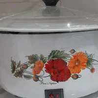 ارام پز
