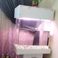 فروش آکواریوم در حد نو