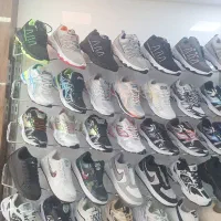 رگال ۲۶۵پاهست