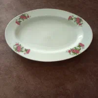 فروش دیس گل سرخی