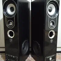 باند دو قلو