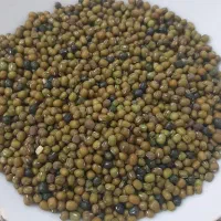 ماش ارتشی درجه یک کیلو ۱۲۰