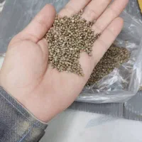 شادانه ریز کیفیت عالی