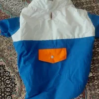 لباس سگ|لوازم جانبی حیوانات|هشتگرد, فاز ۲ مهستان|دیوار