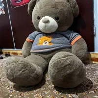 خرس پولیشی بزرگ