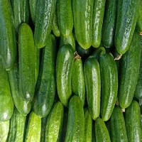 کارگر میدان میوه تره بار مرکزی تهران|استخدام خدمات فروشگاه و رستوران|تهران, میدان میوه و ترهبار مرکزی|دیوار