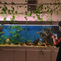 فروش آکواریوم