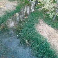 باغ میوه وآب|فروش زمین و ملک کلنگی|نیشابور, هفده شهریور|دیوار