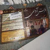 فرش|گلیم، جاجیم، گبه|خمینی‌شهر, |دیوار